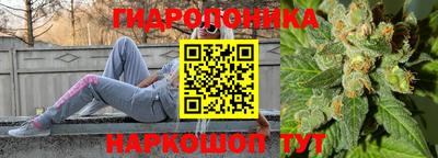 кокс Краснодар