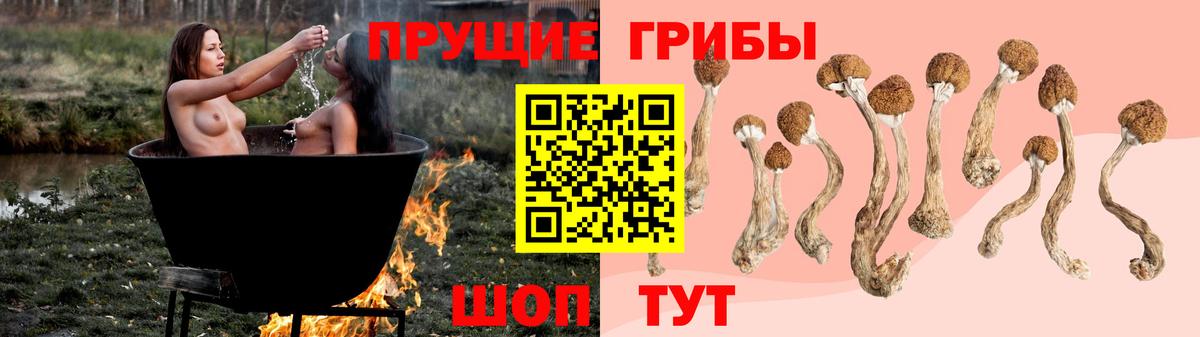 Коммунар  Псилоцибиновые грибы GOLDEN TEACHER  Псилоцибиновые грибы ЛСД  Вход с VPN 